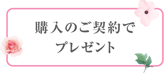 購入のご契約でプレゼント